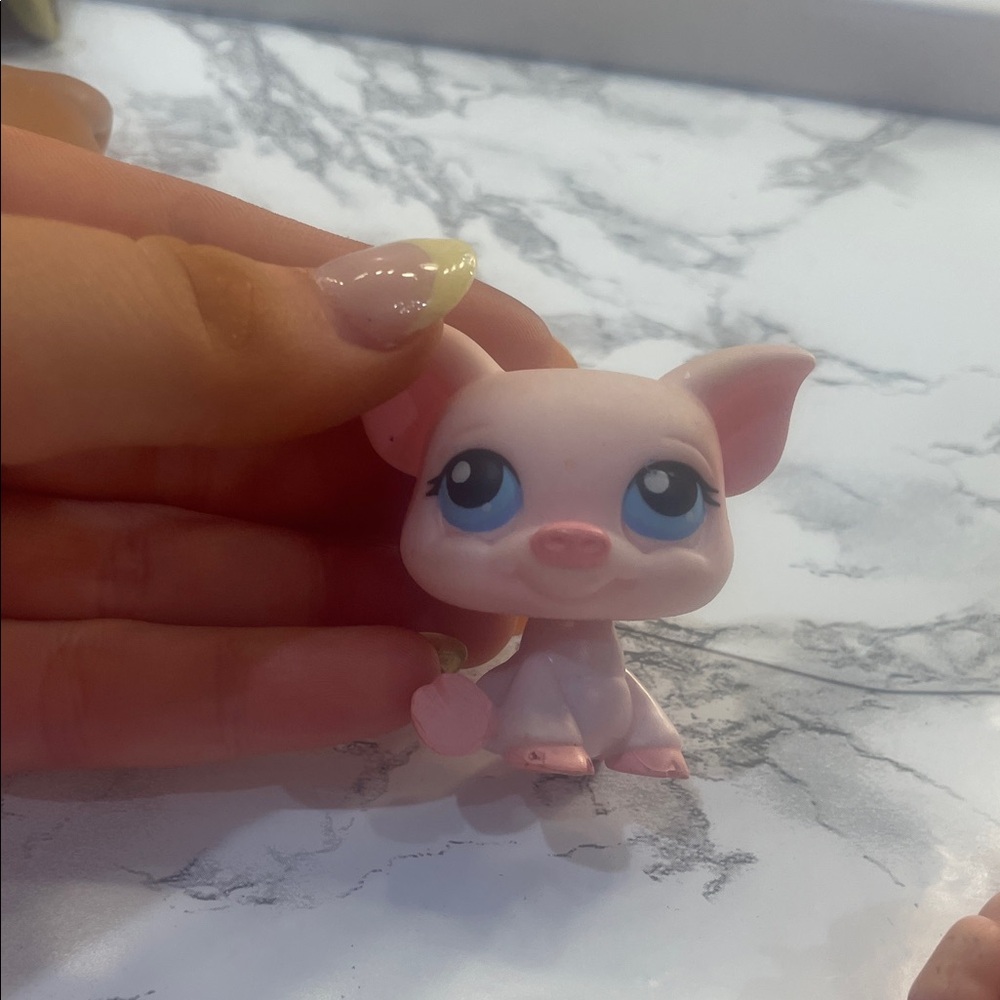 Pink Small Pet Figurine real authentic pig with magnet  pay with Venmo messageme